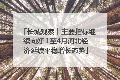 长城观察丨主要指标继续向好 1至4月河北经济延续平稳增长态势