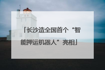 长沙造全国首个“智能押运机器人”亮相