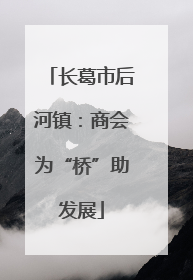 长葛市后河镇：商会为“桥”助发展