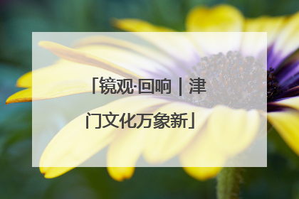 镜观·回响｜津门文化万象新