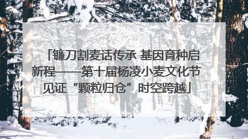 镰刀割麦话传承 基因育种启新程——第十届杨凌小麦文化节见证“颗粒归仓”时空跨越