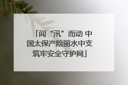闻“汛”而动 中国太保产险丽水中支筑牢安全守护网