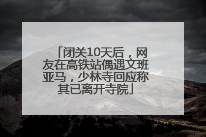 闭关10天后，网友在高铁站偶遇文班亚马，少林寺回应称其已离开寺院