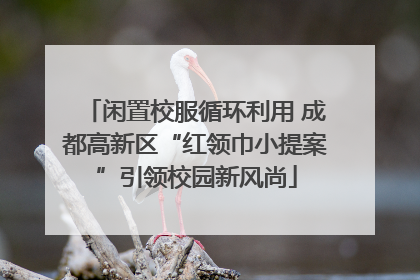 闲置校服循环利用 成都高新区“红领巾小提案”引领校园新风尚