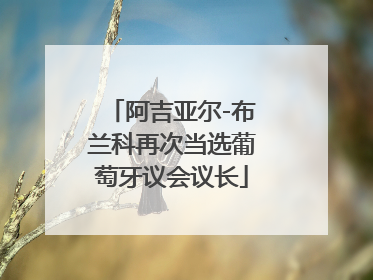 阿吉亚尔-布兰科再次当选葡萄牙议会议长
