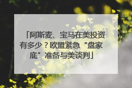 阿斯麦、宝马在美投资有多少？欧盟紧急“盘家底”准备与美谈判