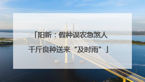 阳新：假种误农急煞人 千斤良种送来“及时雨”