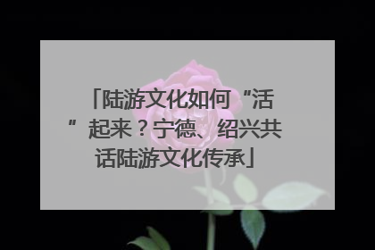 陆游文化如何“活 ”起来？宁德、绍兴共话陆游文化传承