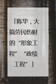 陈华，大搞劳民伤财的“形象工程”“政绩工程”