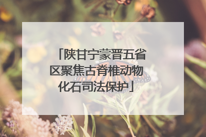 陕甘宁蒙晋五省区聚焦古脊椎动物化石司法保护