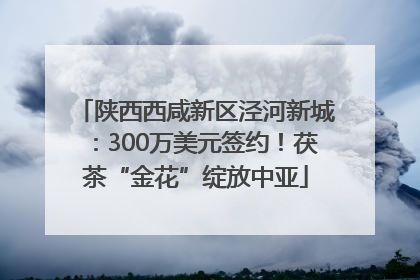 陕西西咸新区泾河新城：300万美元签约！茯茶“金花”绽放中亚