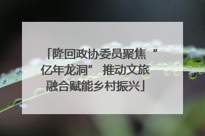 隆回政协委员聚焦“亿年龙洞” 推动文旅融合赋能乡村振兴