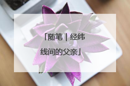 随笔｜经纬线间的父亲