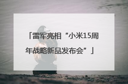 雷军亮相“小米15周年战略新品发布会”