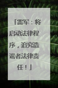 雷军：将启动法律程序，追究造谣者法律责任！