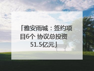 雅安雨城：签约项目6个 协议总投资51.5亿元