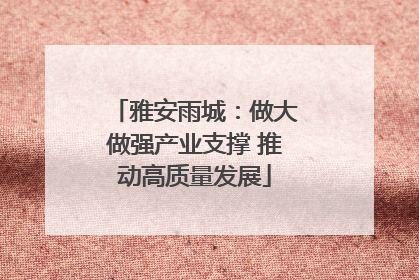 雅安雨城：做大做强产业支撑 推动高质量发展