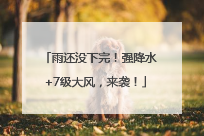 雨还没下完！强降水+7级大风，来袭！