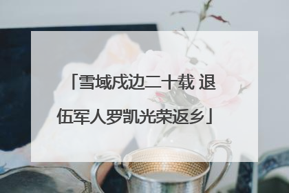 雪域戍边二十载 退伍军人罗凯光荣返乡