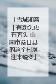 雪域湘音｜有劲头更有奔头 山南市桑日县的这个村落迎来蜕变