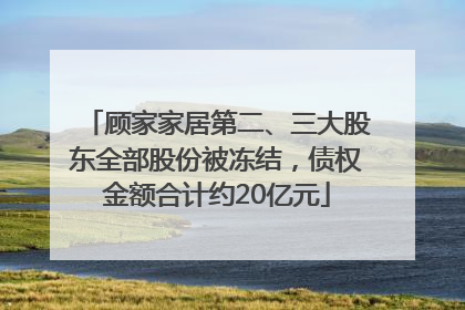 顾家家居第二、三大股东全部股份被冻结，债权金额合计约20亿元