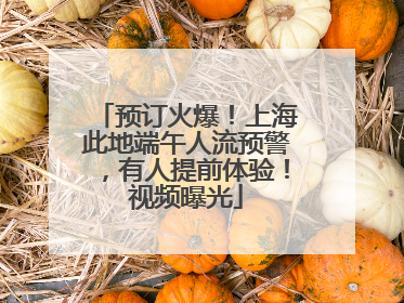 预订火爆！上海此地端午人流预警，有人提前体验！视频曝光