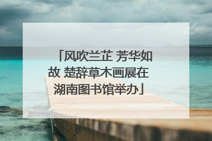 风吹兰芷 芳华如故 楚辞草木画展在湖南图书馆举办