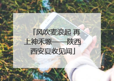 风吹麦浪起 再上神禾塬——陕西西安夏收见闻