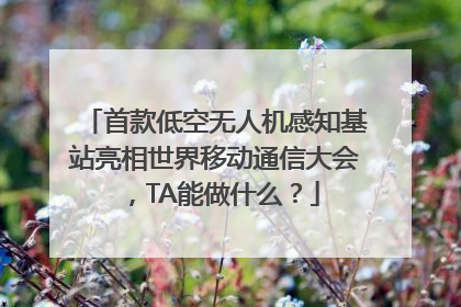 首款低空无人机感知基站亮相世界移动通信大会，TA能做什么？