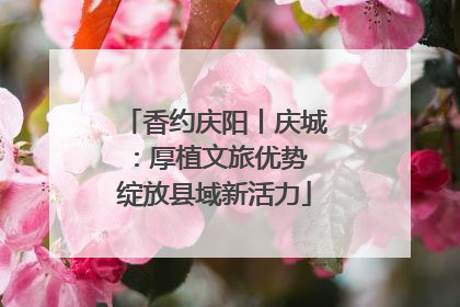 香约庆阳丨庆城：厚植文旅优势 绽放县域新活力