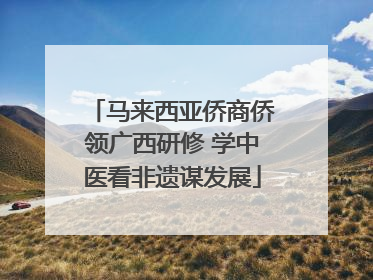 马来西亚侨商侨领广西研修 学中医看非遗谋发展