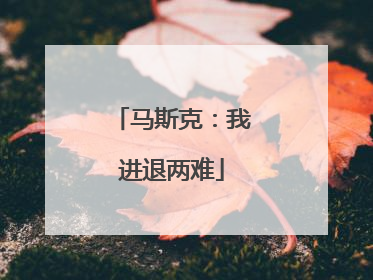 马斯克：我进退两难