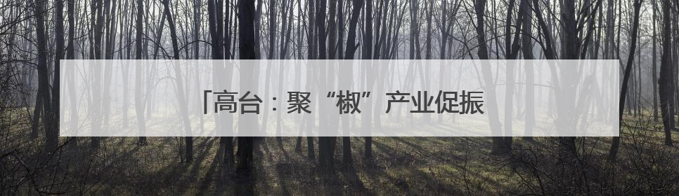高台：聚“椒”产业促振兴 增收致富“辣”劲足