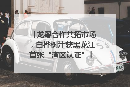 龙粤合作共拓市场，白桦树汁获黑龙江首张“湾区认证”