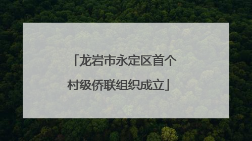 龙岩市永定区首个村级侨联组织成立