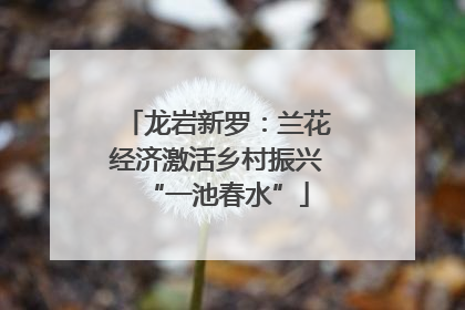 龙岩新罗：兰花经济激活乡村振兴“一池春水”