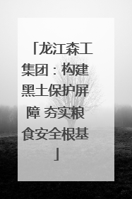 龙江森工集团：构建黑土保护屏障 夯实粮食安全根基