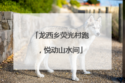 龙西乡荧光村跑，悦动山水间