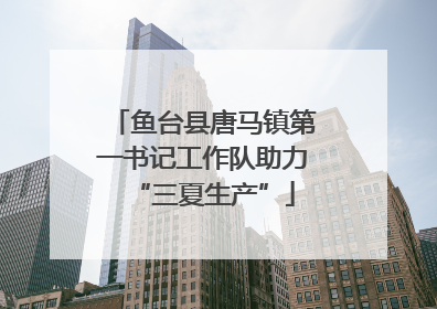 鱼台县唐马镇第一书记工作队助力“三夏生产”