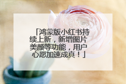 鸿蒙版小红书持续上新，新增图片美颜等功能，用户心愿加速成真！