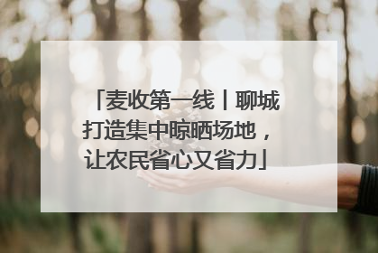 麦收第一线丨聊城打造集中晾晒场地，让农民省心又省力