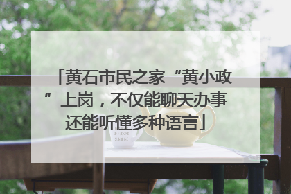 黄石市民之家“黄小政”上岗，不仅能聊天办事还能听懂多种语言