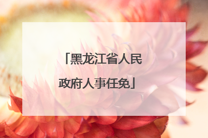 黑龙江省人民政府人事任免