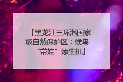 黑龙江三环泡国家级自然保护区：候鸟“带娃”添生机