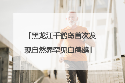 黑龙江千鹤岛首次发现自然界罕见白鸬鹚