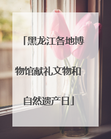 黑龙江各地博物馆献礼文物和自然遗产日