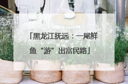 黑龙江抚远：一尾鲜鱼“游”出富民路