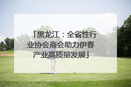 黑龙江：全省性行业协会商会助力伊春产业高质量发展