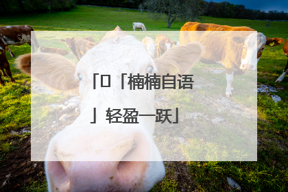 ﻿「楠楠自语」轻盈一跃