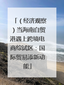 （经济观察）当海南自贸港遇上跨境电商综试区：国际贸易添新动能